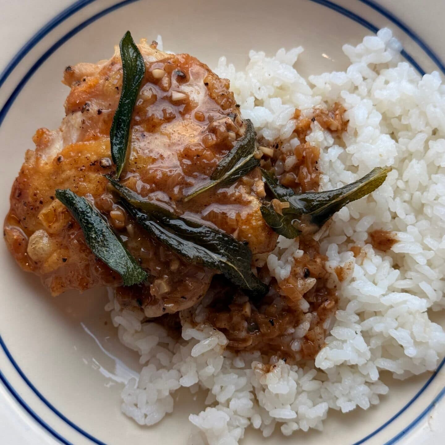 A piece of chicken with brown sauce and herbs served over white rice on a round plate with blue trim.