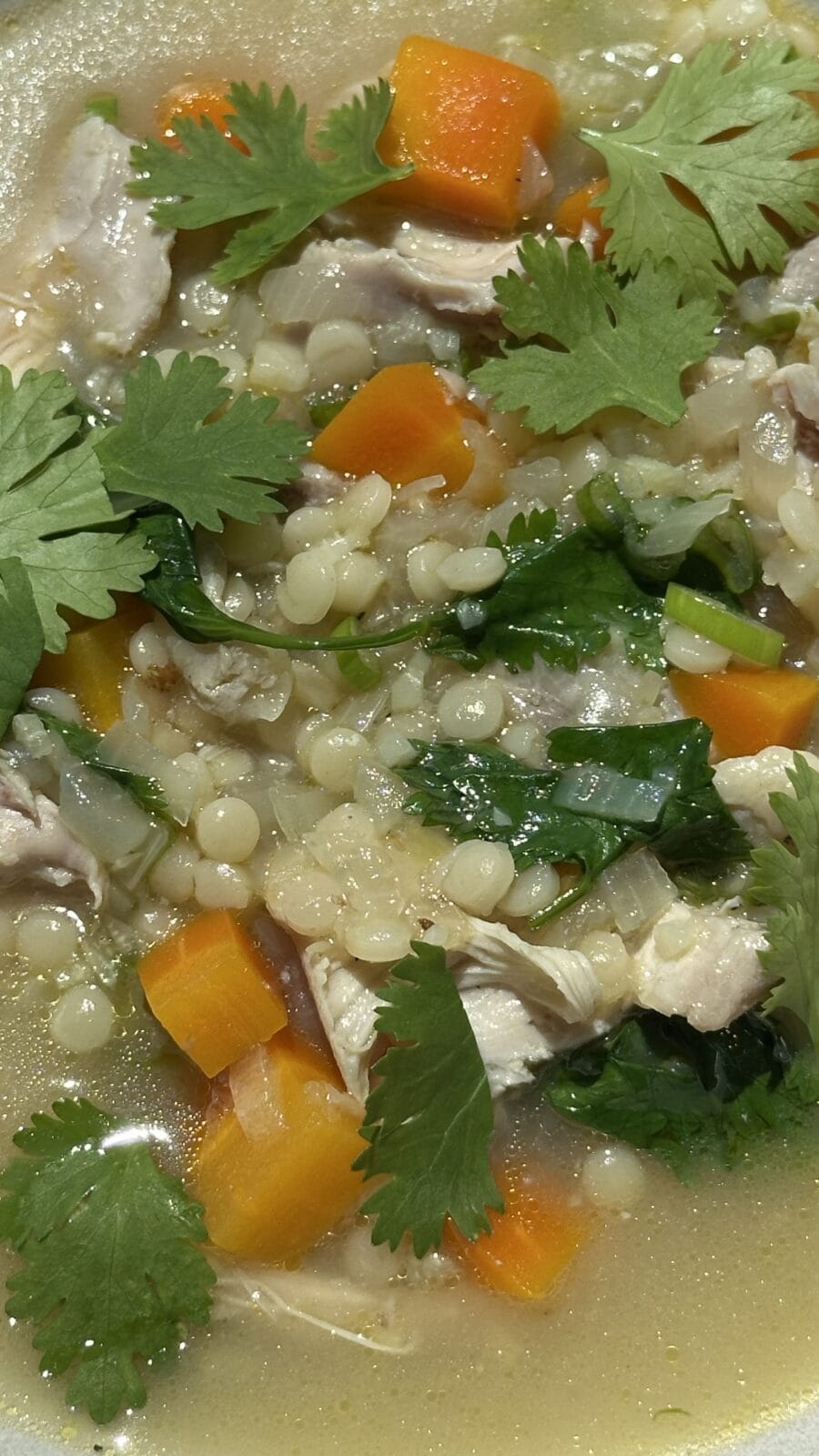 Close-up of a soup with diced carrots, shredded chicken, small pasta, leafy greens, and fresh cilantro in a clear broth.